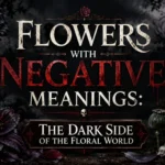 Flowers with Negative Meanings The Dark Side of the Floral World